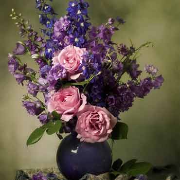 网页版呼叫中心